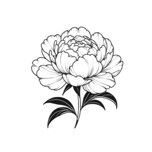 Simple Peony With Clean Lines And Minimal Detail