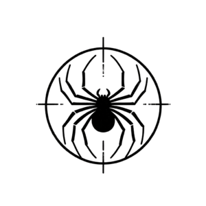 Simplistic Japanese-Inspired Spider