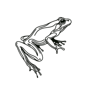 Single Continuous-Line Frog Jumping