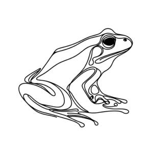 Single Continuous-Line Frog Resting