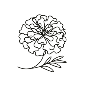 Single Continuous-Line Marigold In Abstract Form