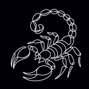 Single Continuous-Line Scorpion With A Fluid, Unbroken Design And Minimalist Style