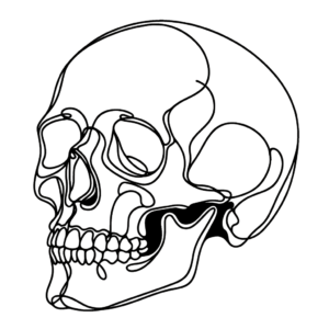 Single Continuous-Line Skull With Simple Form