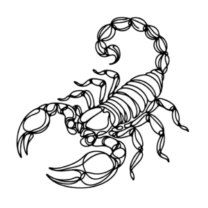 Single-Line Scorpion With An Unbroken, Continuous Design