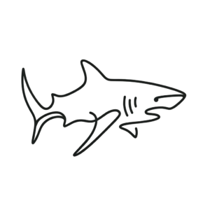 Single Line Shark Tattoo With Continuous, Unbroken Lines