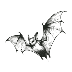 Sketchy Bat With Quick Strokes