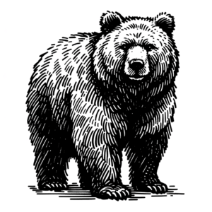 Sketchy Bear With Rough Lines
