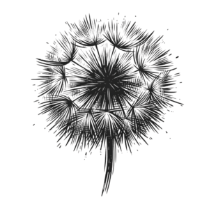 Sketchy Dandelion With Rough, Artistic Lines And Form