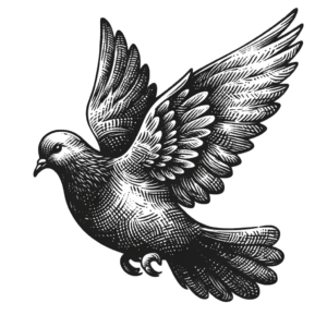 Sketchy Dove With Rough Textures