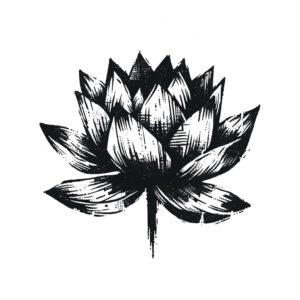 Sketchy Lotus With Rough Edges