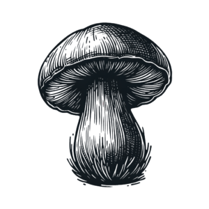 Sketchy Mushroom With Rough, Artistic Lines