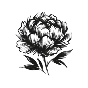 Sketchy Peony With Rough Strokes