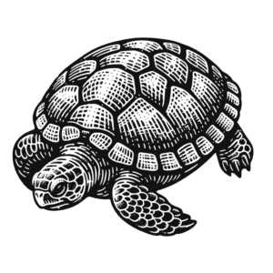 Sketchy Turtle With Rough, Hand-Drawn Lines