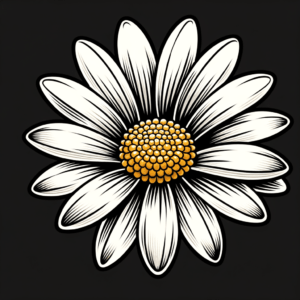 Traditional Daisy With Classic Colors