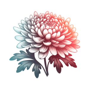 Watercolor Chrysanthemum With Soft Gradients