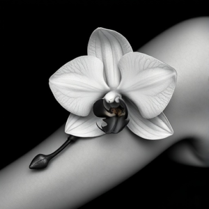 dagger vid orchid flower