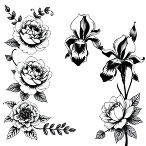 Vines roses chrysanthemum peony iris dainty
